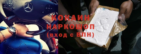 твердый Горняк