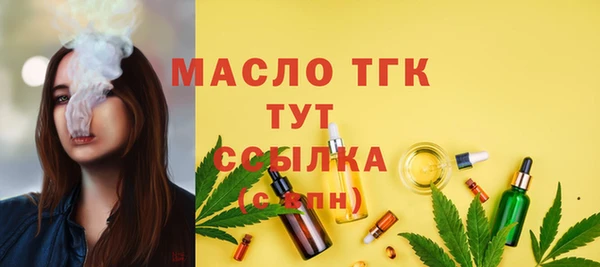 твердый Горняк