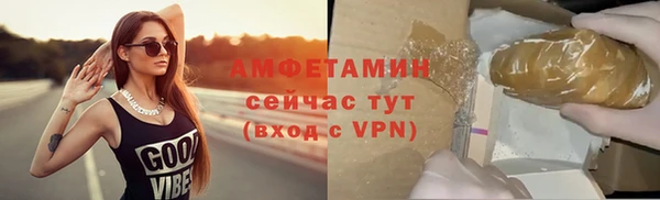твердый Горняк