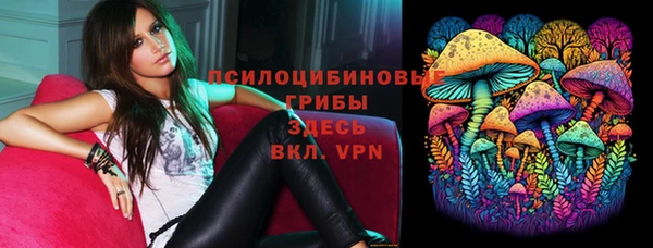 ALPHA PVP Горнозаводск