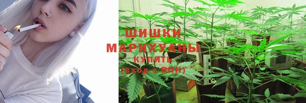 твердый Горняк