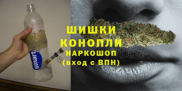 дурь Горно-Алтайск
